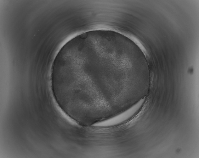 X0000100751142200807031330