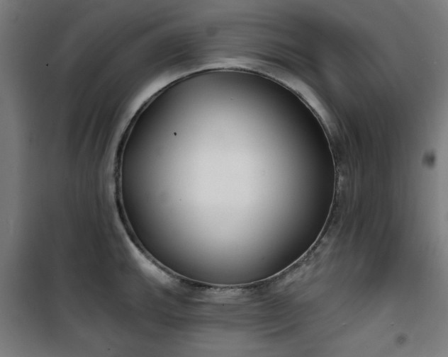 X0000100751143200807031330