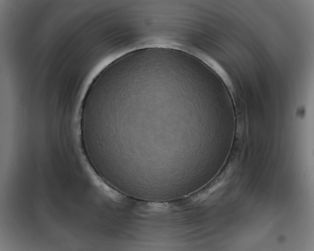 X0000100751144200807031330