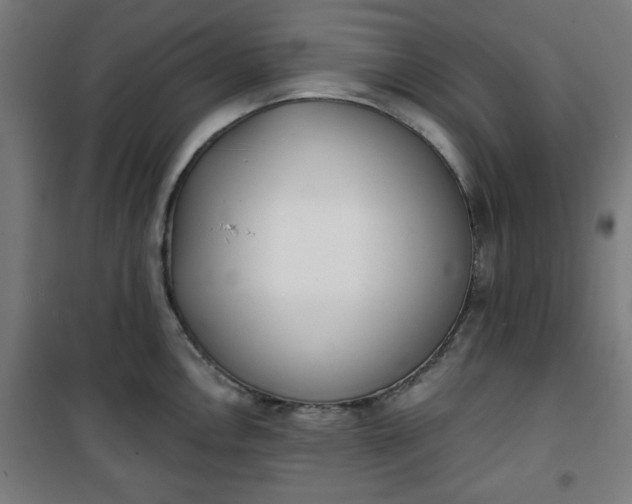 X0000100751146200807031330