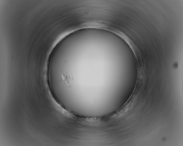 X0000100751147200807031330