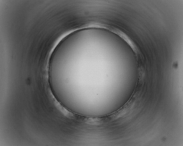 X0000100751148200807031330