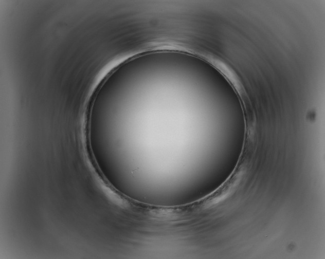 X0000100751149200807031330