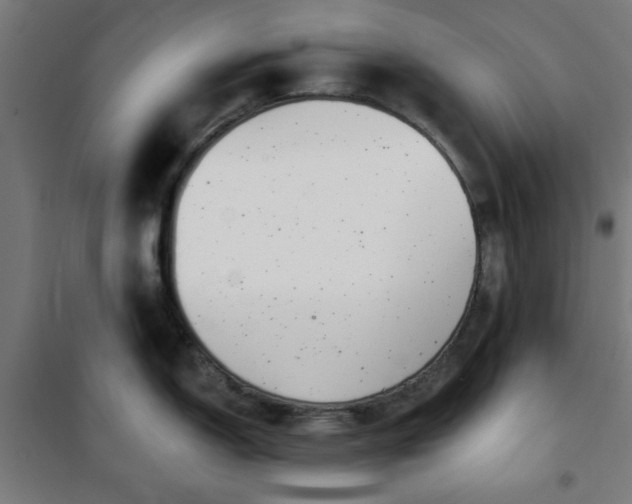 X0000100751150200807031330