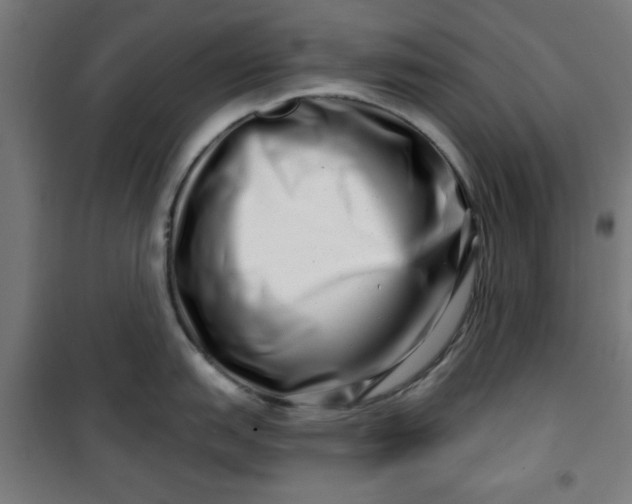 X0000100751151200807031330