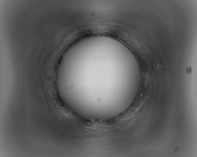 X0000100751153200807031329