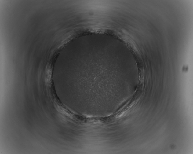 X0000100751154200807031329