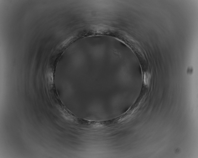 X0000100751155200807031329