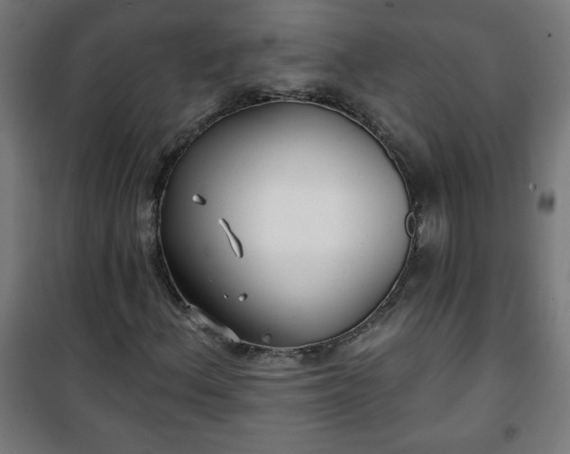 X0000100751156200807031329