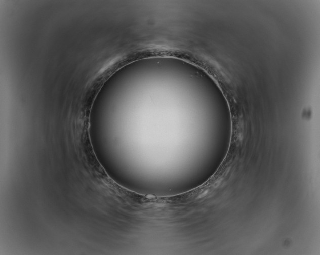 X0000100751157200807031329