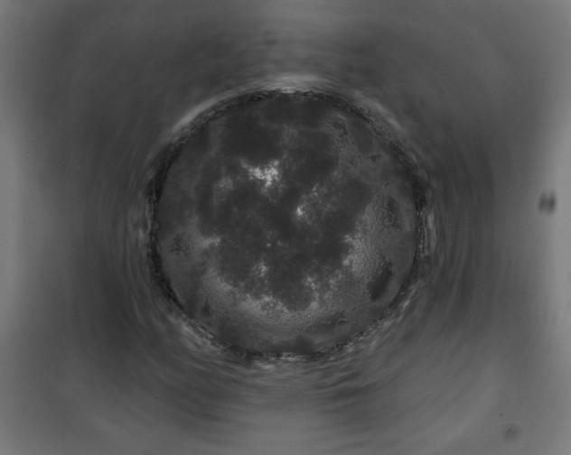 X0000100751158200807031329