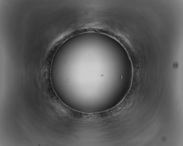 X0000100751159200807031329