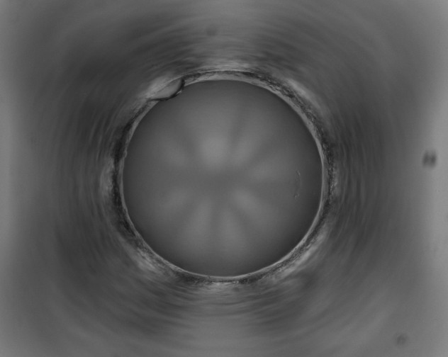 X0000100751161200807031329