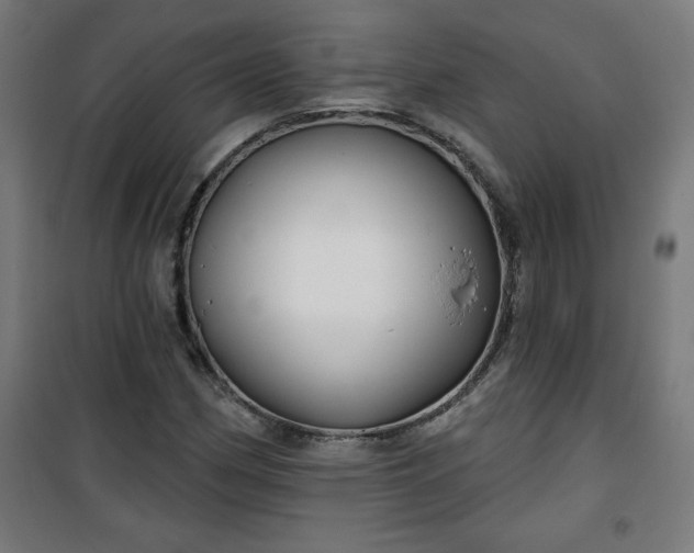 X0000100751162200807031329