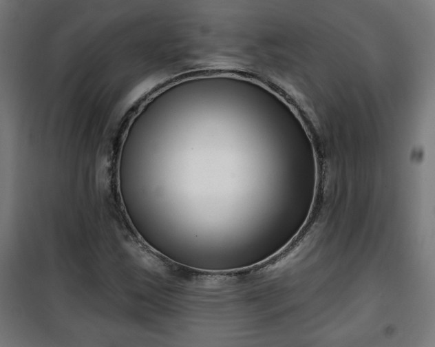 X0000100751163200807031329