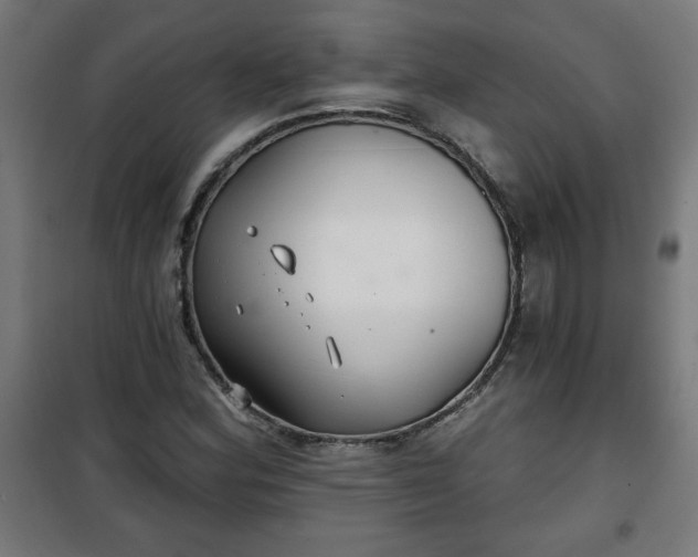 X0000100751164200807031329