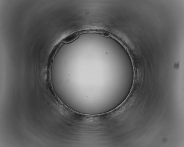 X0000100751165200807031329