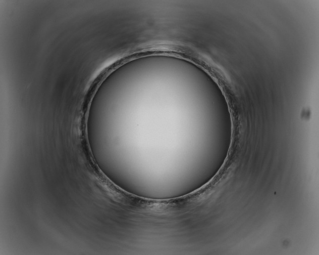 X0000100751166200807031329