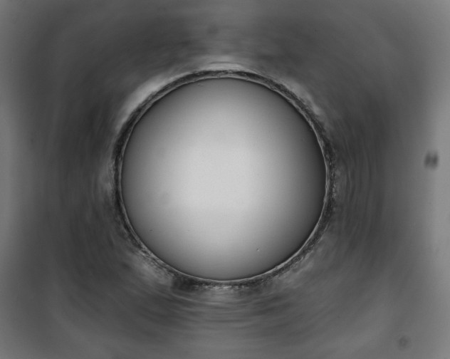 X0000100751167200807031329