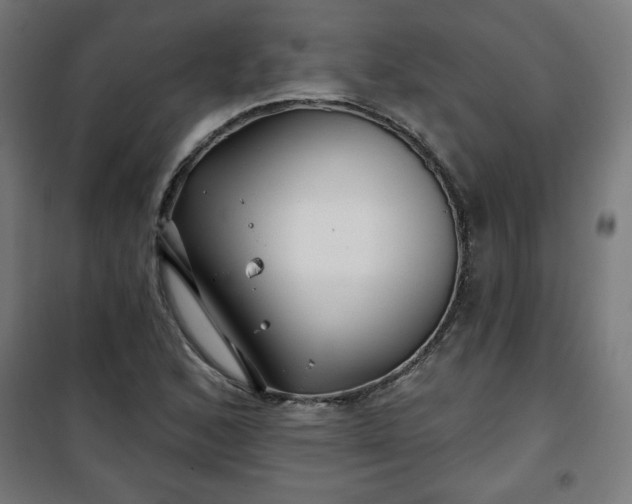 X0000100751168200807031329