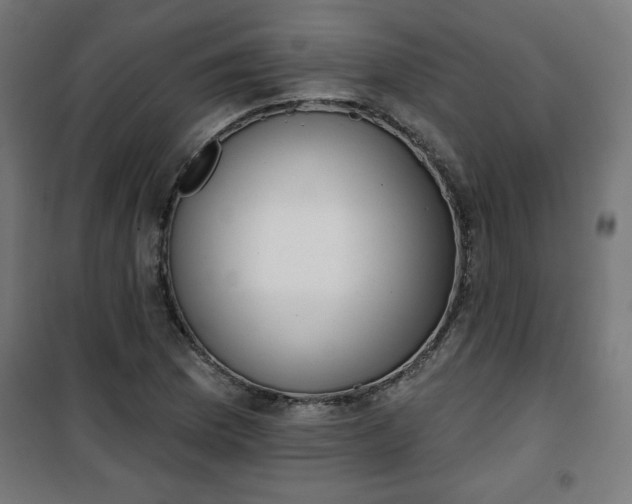 X0000100751169200807031329