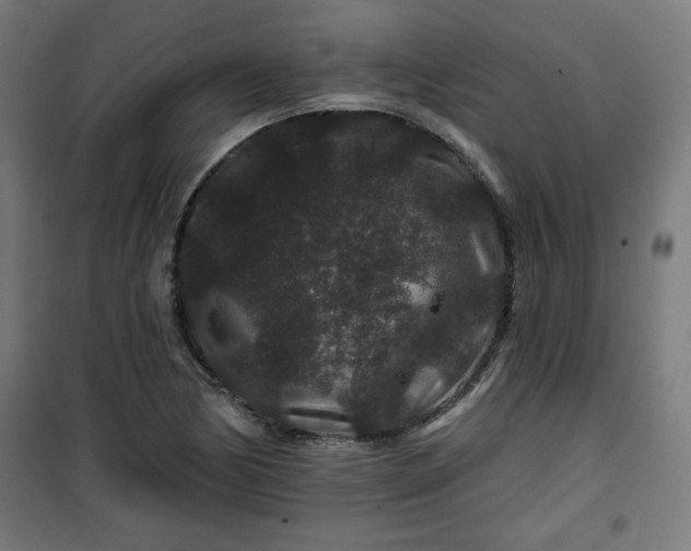 X0000100751170200807031329