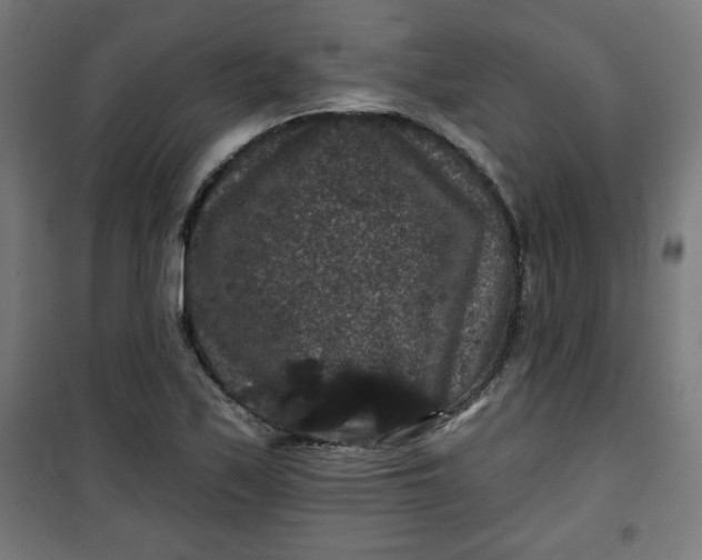 X0000100751171200807031329