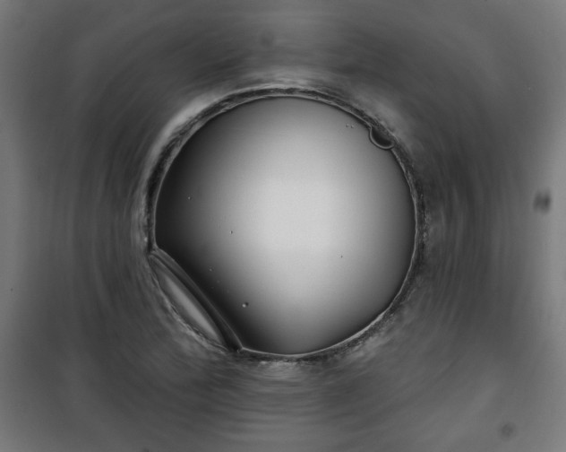 X0000100751172200807031329