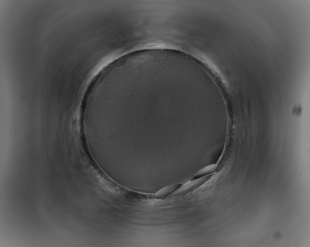 X0000100751173200807031329