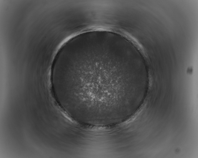 X0000100751174200807031329