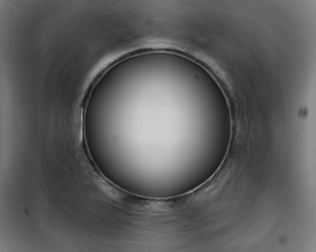 X0000100751175200807031329