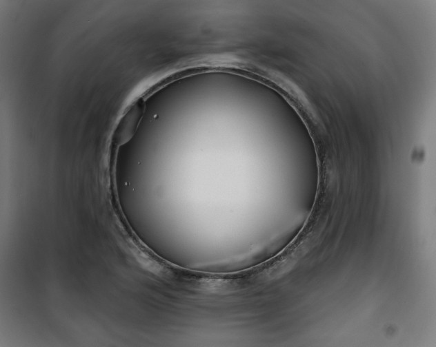 X0000100751176200807031329