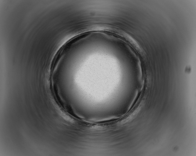 X0000100751178200807031329