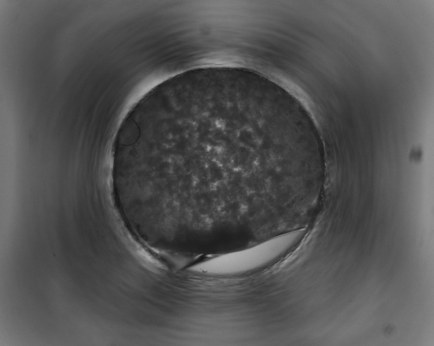 X0000100751179200807031329