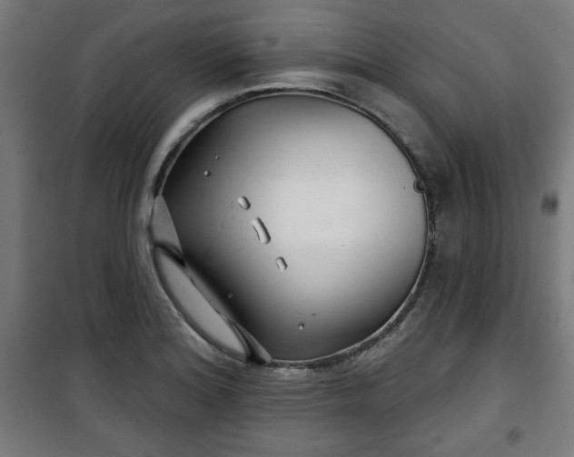 X0000100751180200807031329