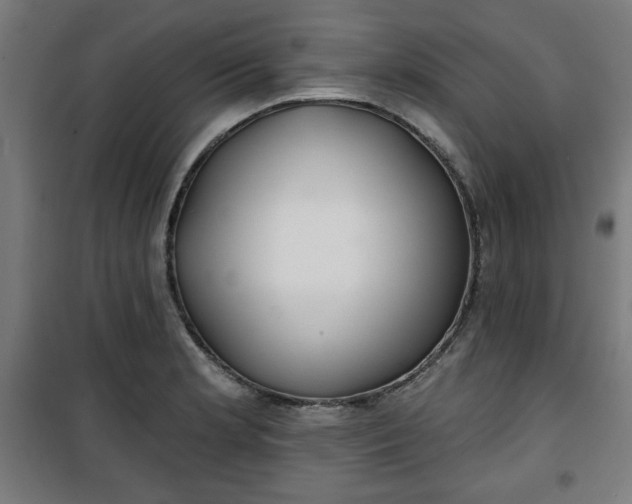 X0000100751181200807031329