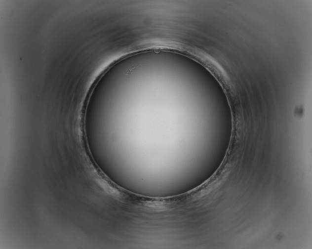 X0000100751182200807031329