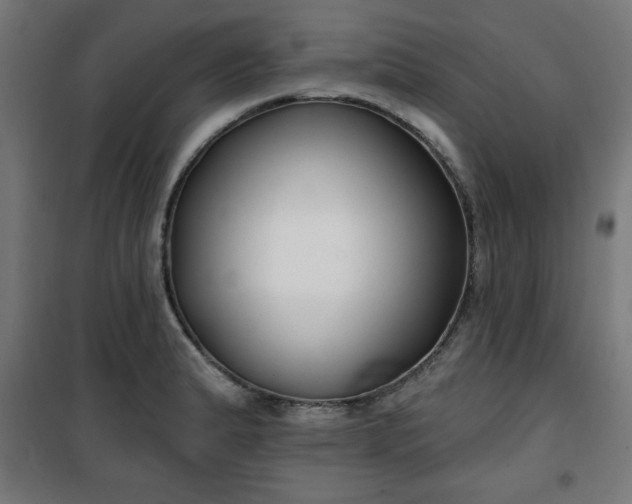 X0000100751183200807031329