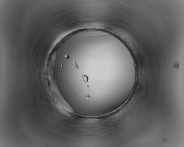 X0000100751184200807031329