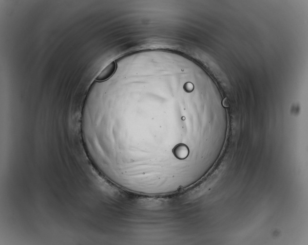 X0000100751185200807031329