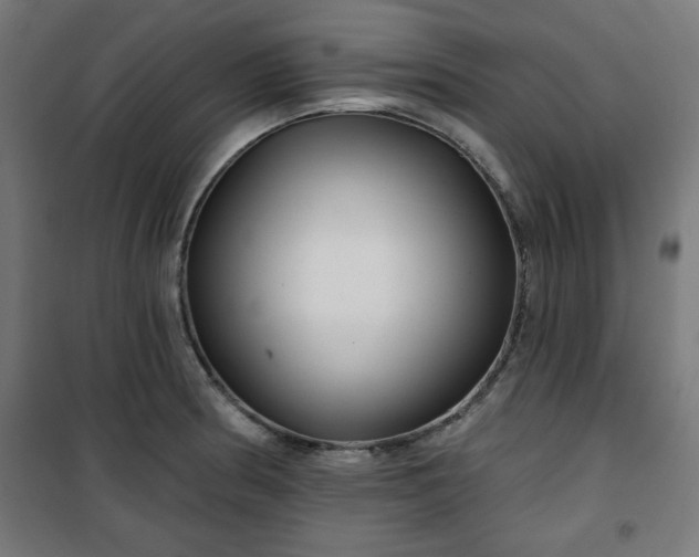 X0000100751186200807031329