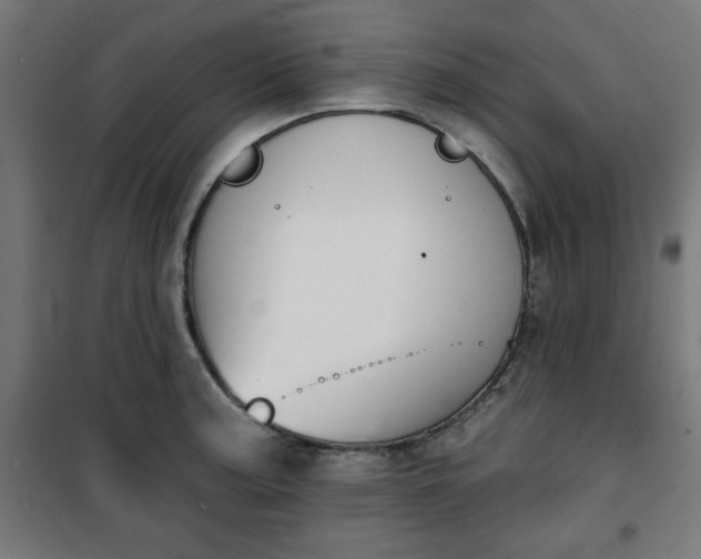 X0000100751187200807031329