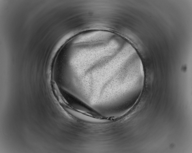 X0000100751188200807031329