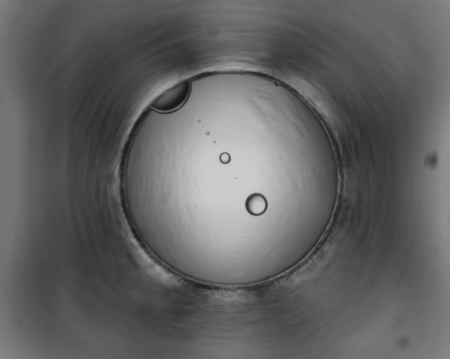 X0000100751189200807031329