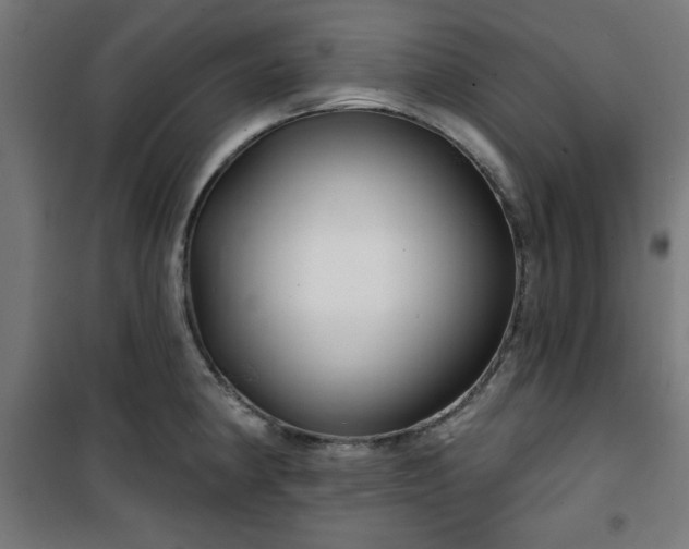 X0000100751190200807031329