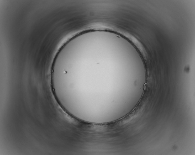 X0000100751191200807031329