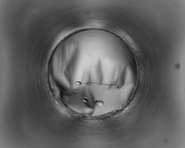 X0000100751192200807031329