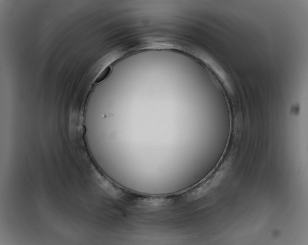 X0000100751193200807031329