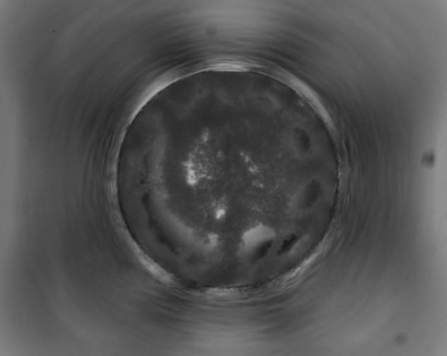 X0000100751194200807031328