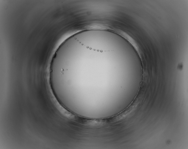 X0000100751195200807031328